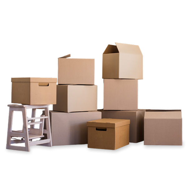 mudanças em Fortaleza